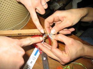 IMG-2913-1.JPG