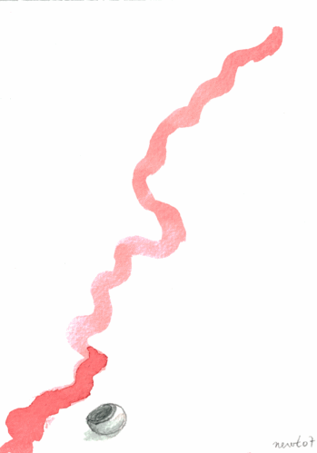 escargot6.gif