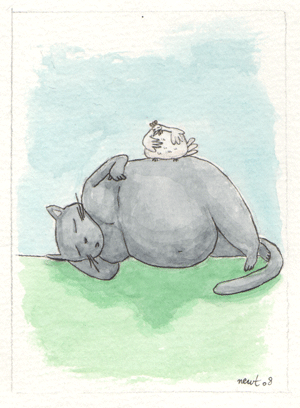 chat endormi