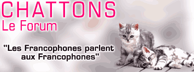 Chattons04.gif