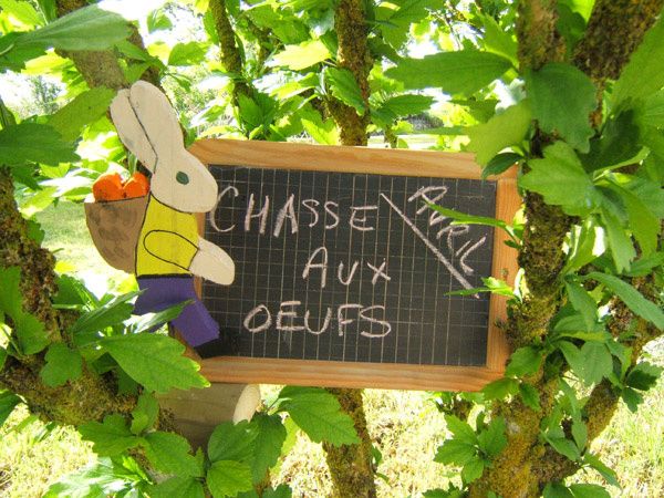 chasse-lapin-2.jpg