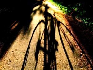 velo-ombrage.jpg