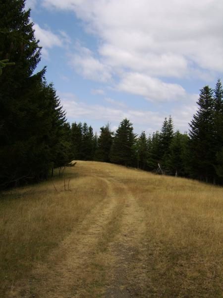 STA70811.JPG