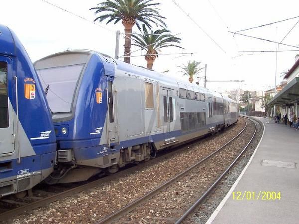 TER.jpg