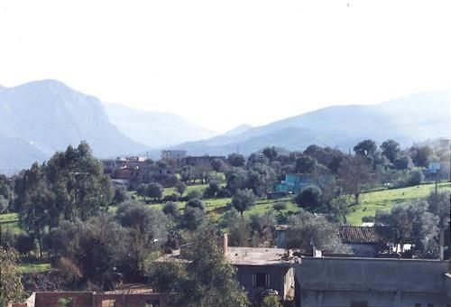Ouled-Ali-002-copie-1.jpg