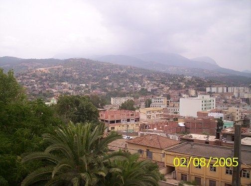 el-milia-1-.jpg
