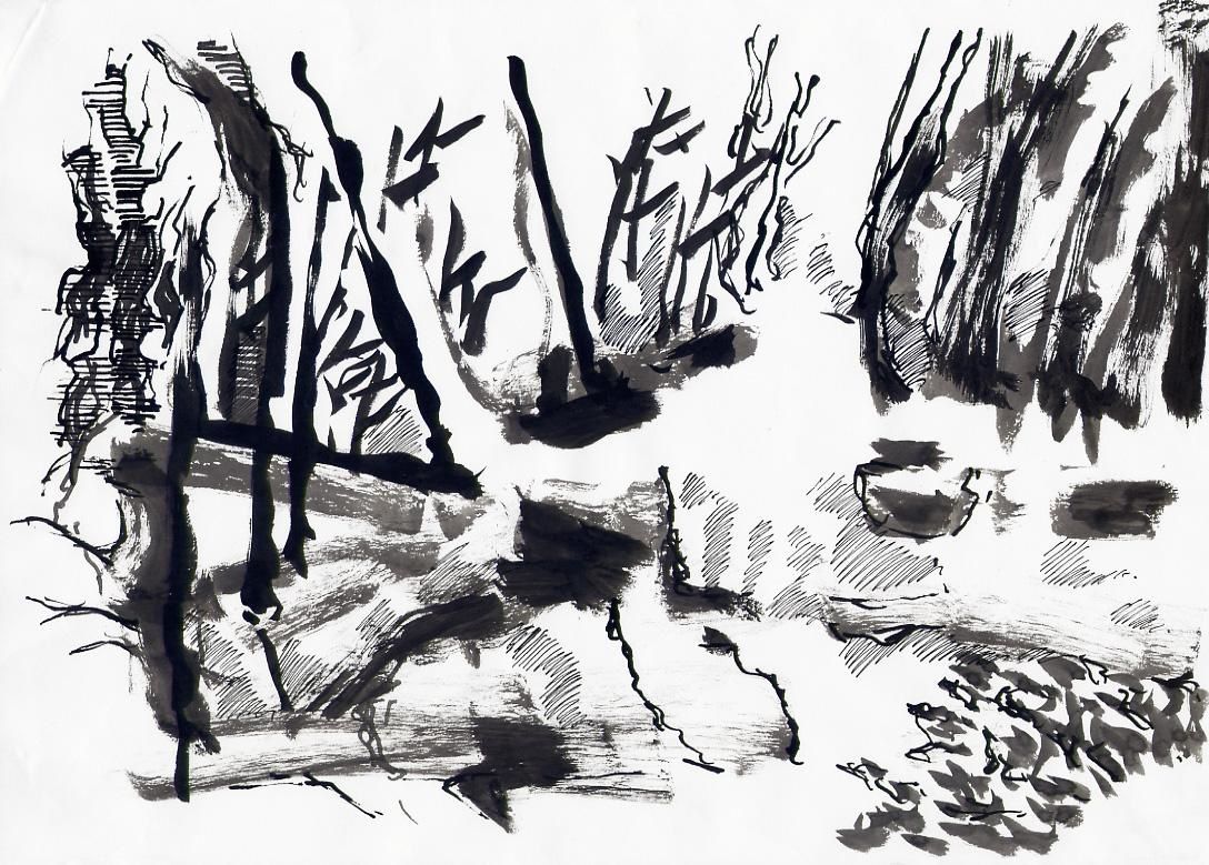 Frédéric Fau, 2008, encre de chine sur papier, 21x29,7cm Frédéric Fau, 2008, encre de chine sur papier, 21x29,7cm