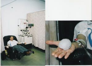 scan0016.jpg