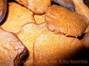 Speculoos.jpg
