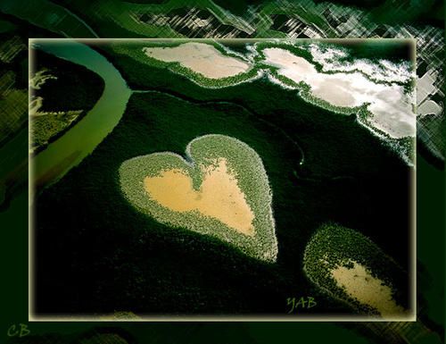 Yann Arthus Bertrand Coeur de Voh Yann Arthus Bertrand Coeur de Voh