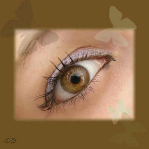 oeil caro oeil caro