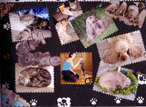 scrapbook animaux scrapbook animaux