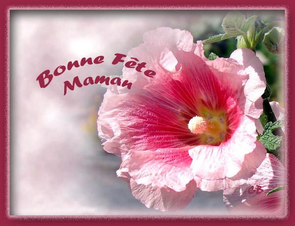 Bonne fête Maman Bonne fête Maman