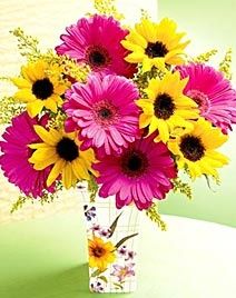 home-feature-06-E2.jpg