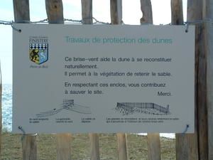 Sauvons-la-dune.jpg