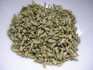gm-fenouil.jpg