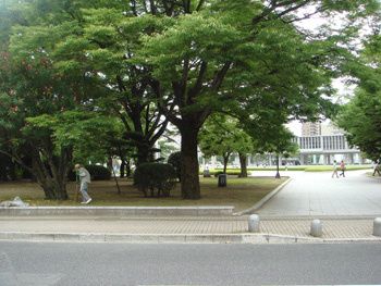 01-copie-1.jpg