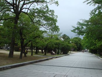 02-copie-1.jpg