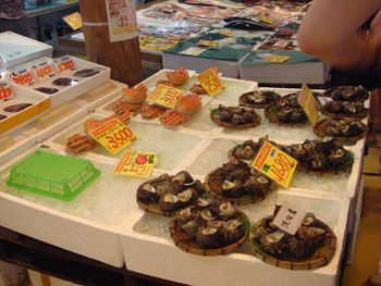 02-copie-87.jpg