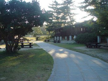 05-copie-91.jpg