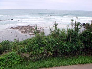 06-copie-21.jpg
