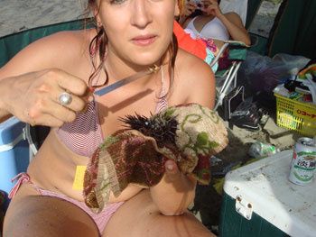 06-copie-62.jpg