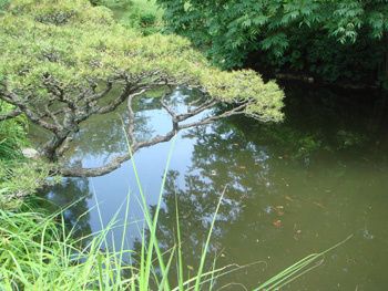 12-copie-1.jpg