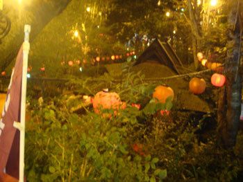 12-copie-30.jpg