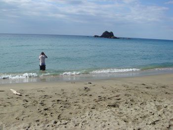 15-copie-15.jpg
