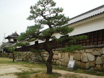 castle6.jpg