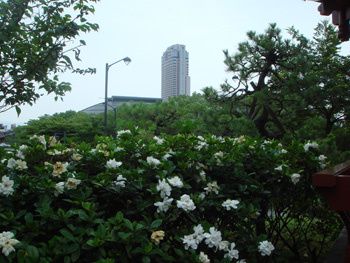 chuo3.jpg