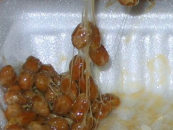 natto.jpg