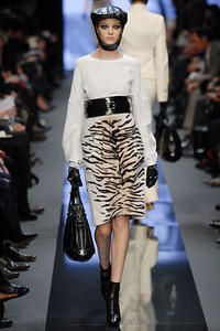 Zebre-Celine-FW07.jpg