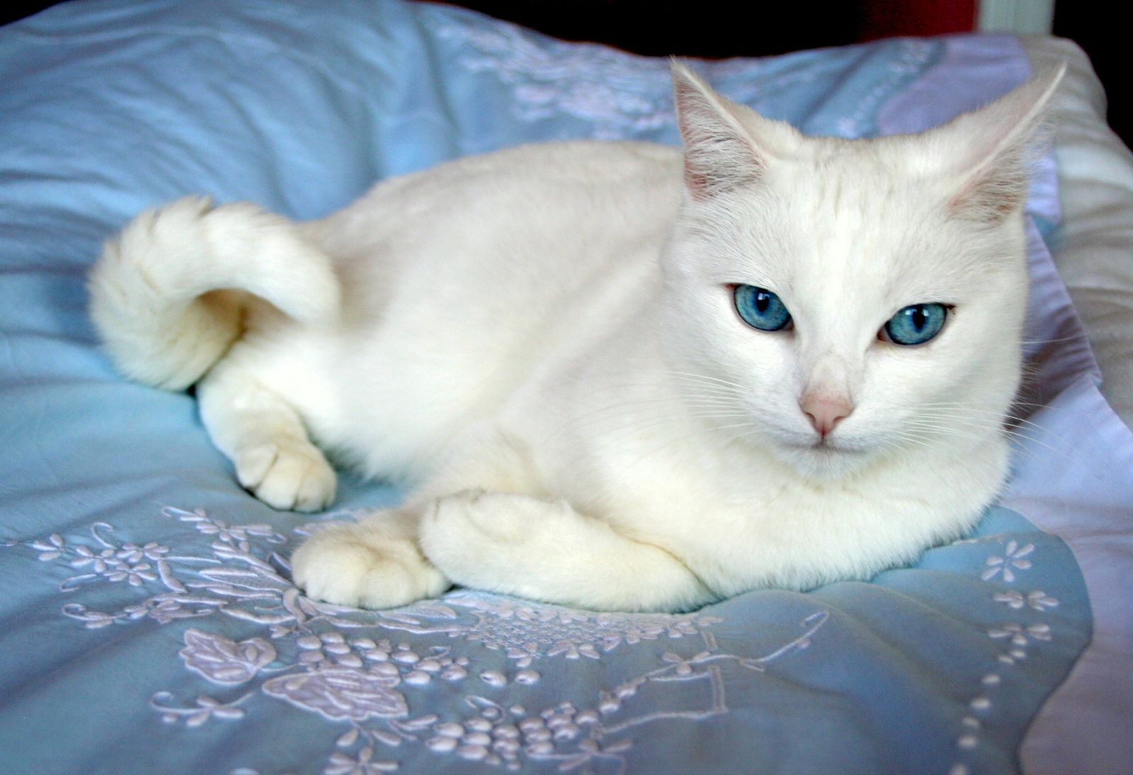 CLARA Octobre 2009