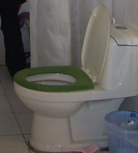 funky-toilets.JPG