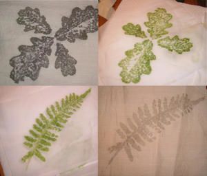 07-comparaison-des-tanins.jpg