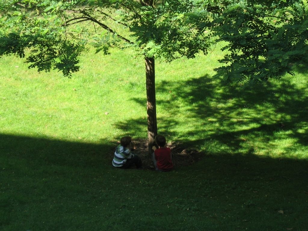 juin-07-071.JPG