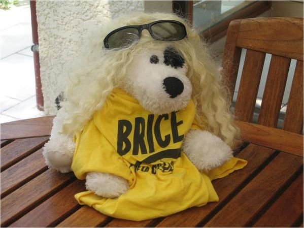 7b-Brice-de-Nice.jpg