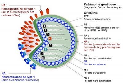 virus-j.jpg