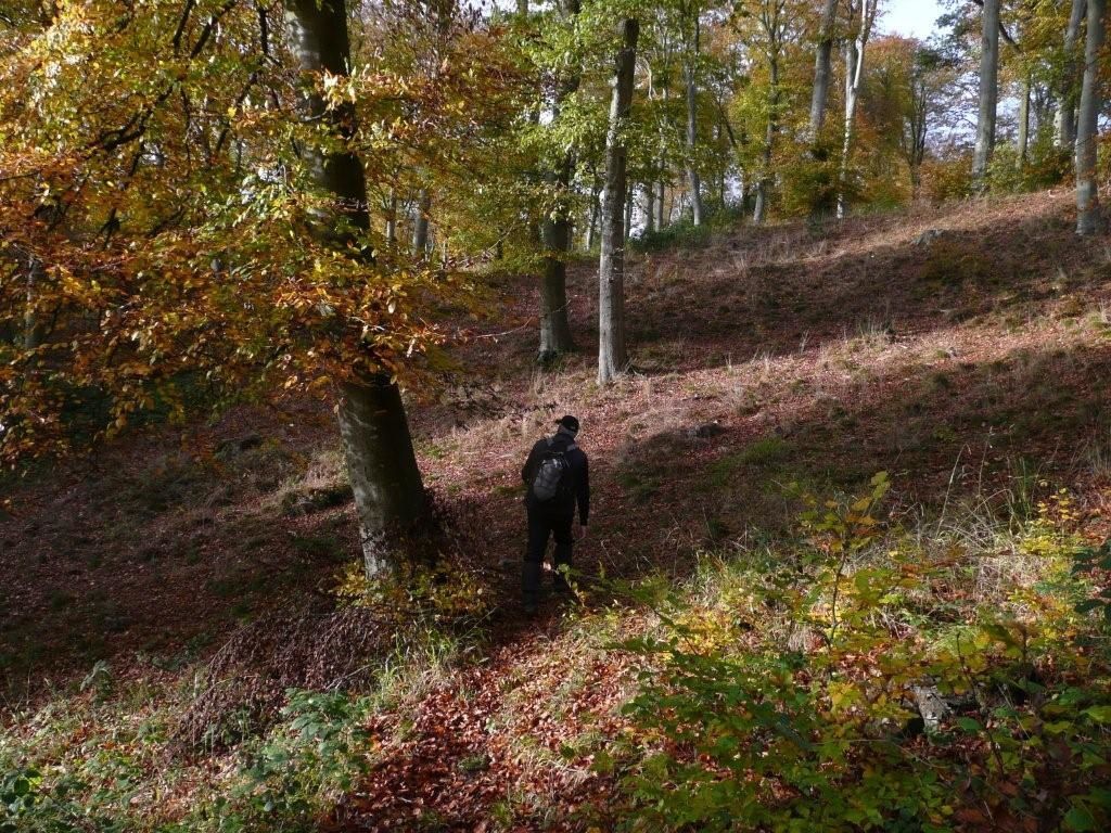 76 Superbe Parcours Dans La Foret Domaniale D Arques Proche De Dieppe Dieppe Rando Caux
