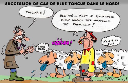 blue-tongue-bluescolor-copy.jpg