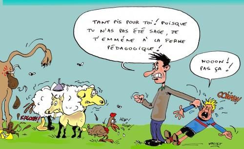 ferme555color.jpg