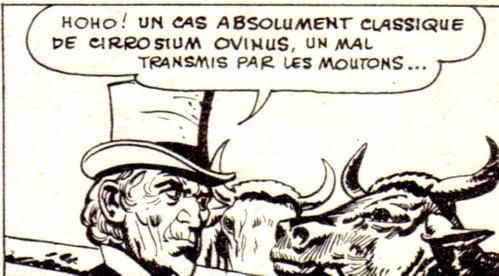 inspecteur-sanitaire3.jpg