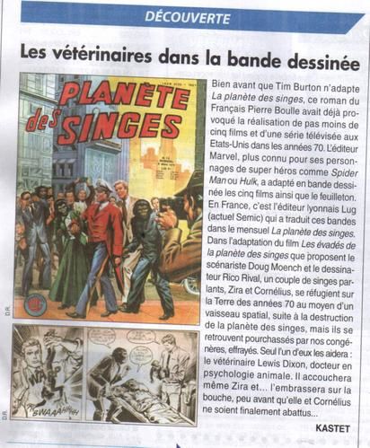 plan--te-des-singes-article.jpg