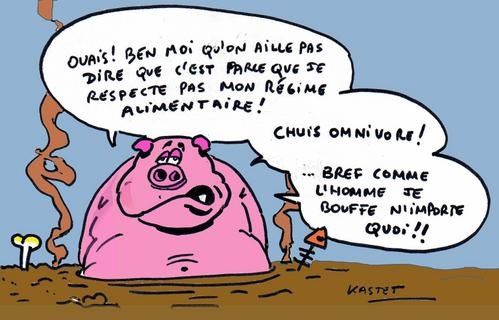 un-lien-entre-porc-et-mie-de-la-vache-folle.jpg