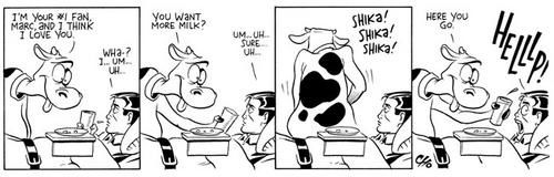 vache-folle.jpg