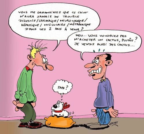 vente-de-chien.jpg