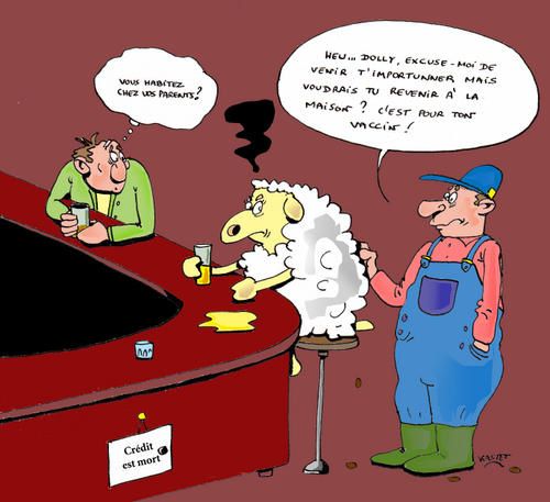 moutonbar984-copy.jpg