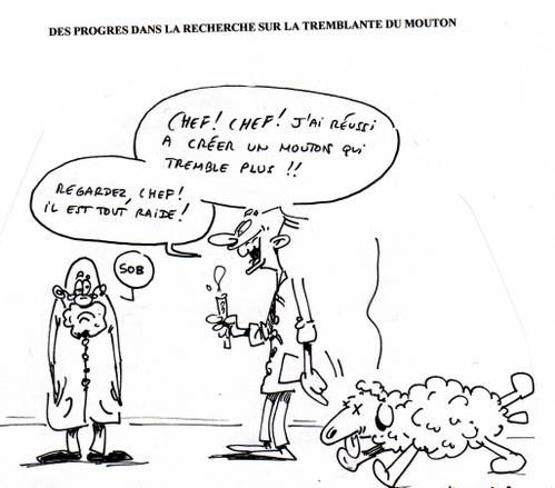 tremblante573-copie-1.jpg