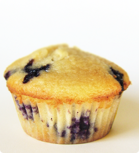 blueberry-muffin-large.png